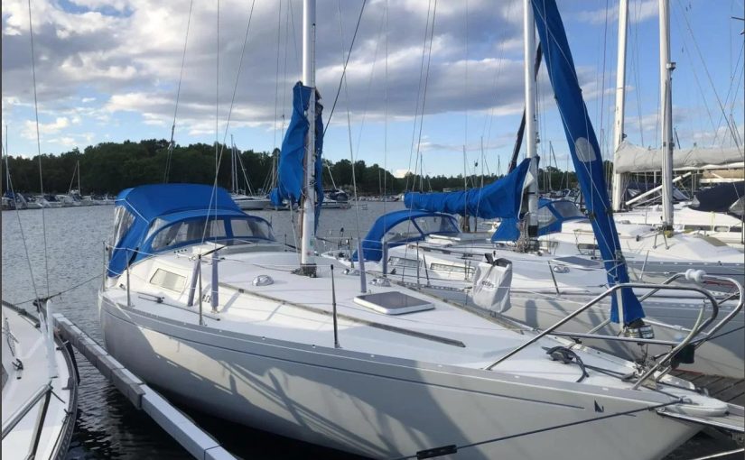 Scampi 30