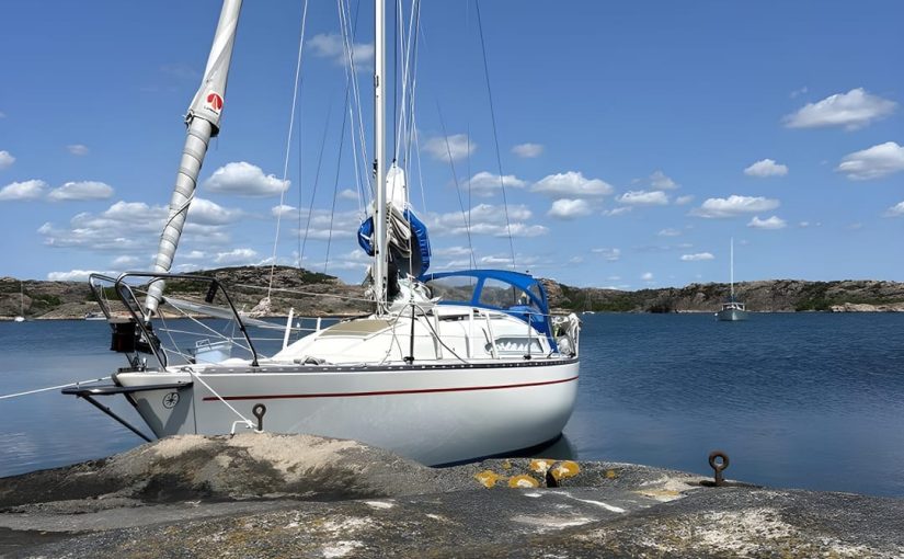 Albin79 с обновлённым парусным вооружением — всего за 3000 евро.